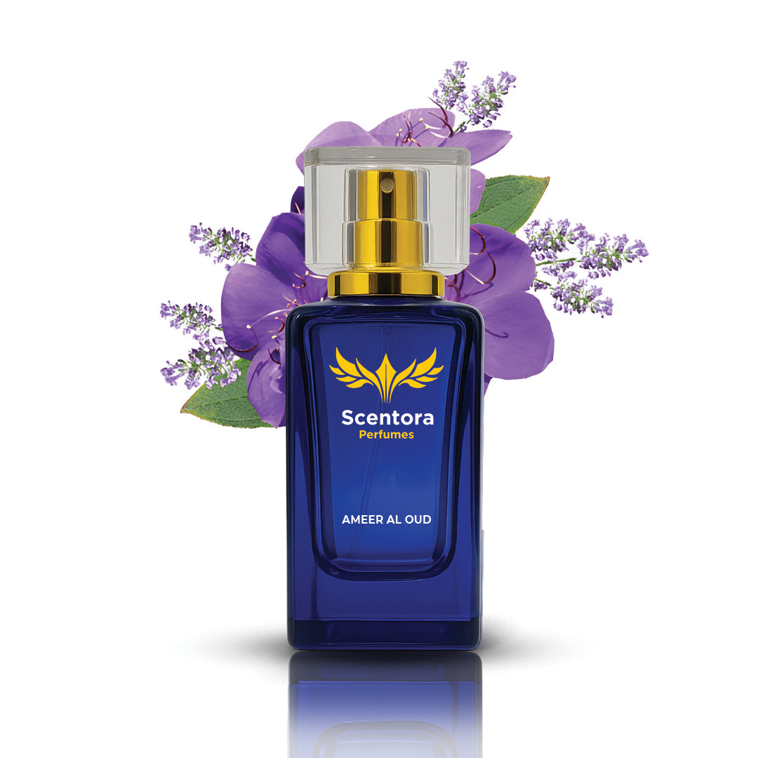 Ameer Al Oud 50ml